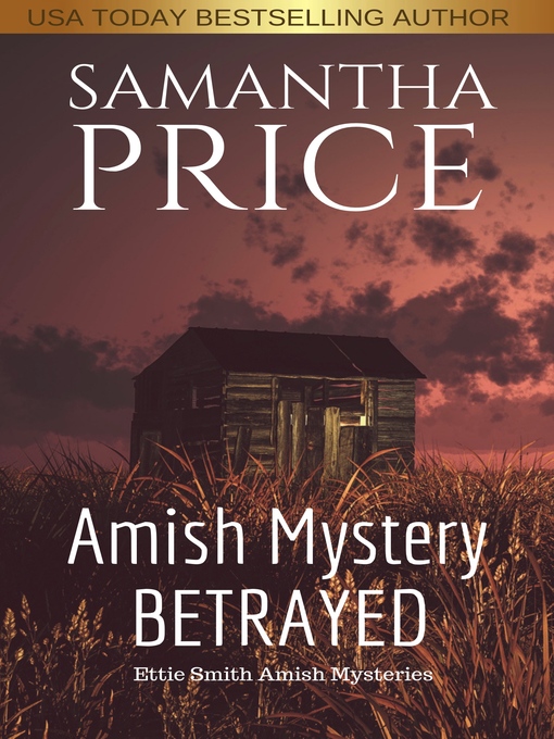 Cover image for Amish Mystery